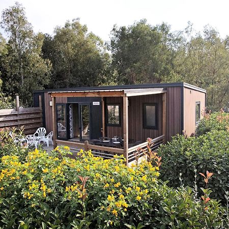 Camping Les Castors Calvi  Exteriér fotografie