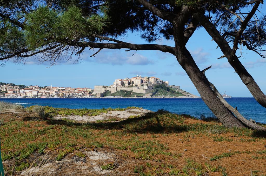 Camping Les Castors Calvi  Exteriér fotografie