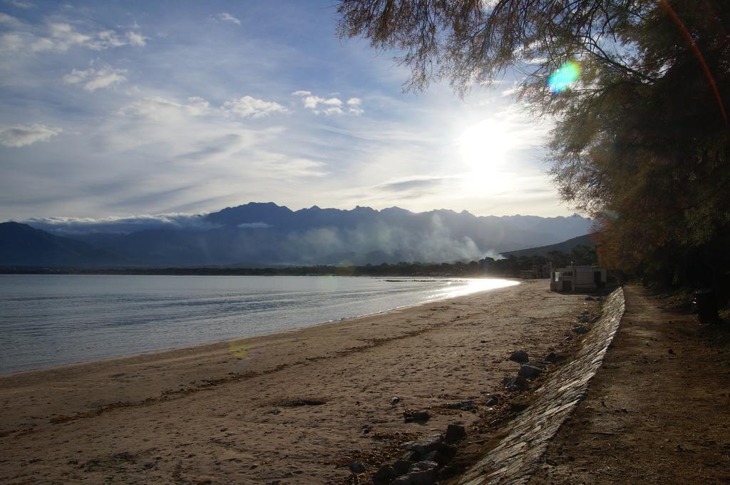 Camping Les Castors Calvi  Exteriér fotografie
