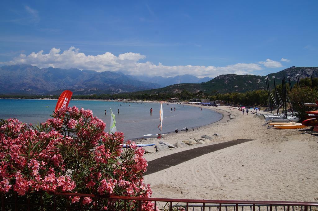 Camping Les Castors Calvi  Exteriér fotografie